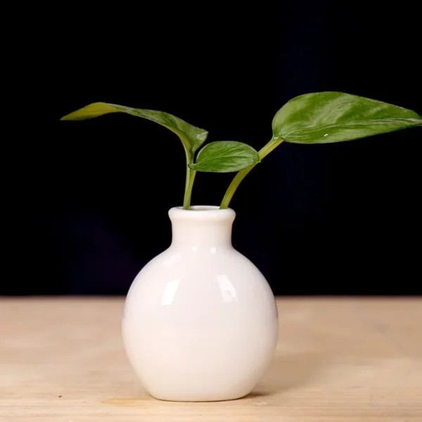 1Piece Ceramic Mini Flower Vase Home Garden Decoration Planter Pot Cute Flowerpot Planter Desktop Vase Home 5
