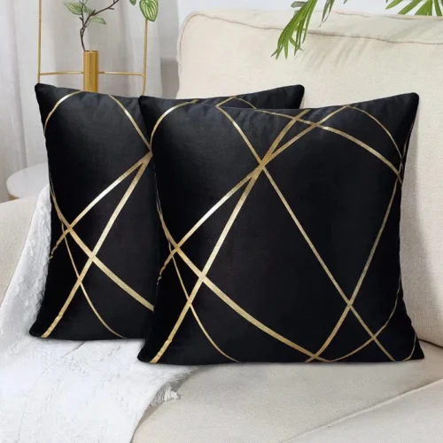 Contemporary Accent Pillow Covers