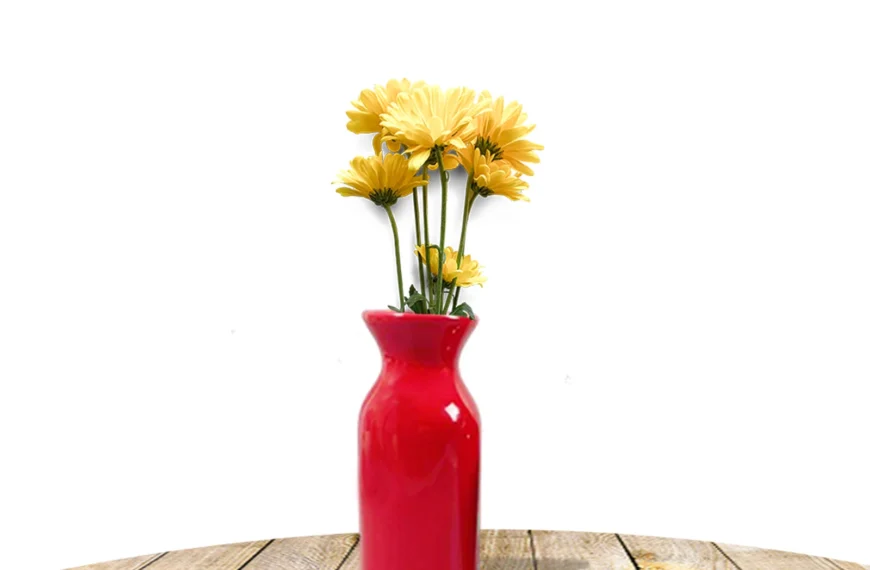 Modern Red Vase